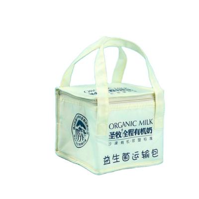 China Custom Waterproof Promotional Wholesale Ice Waterproof Soft Food Insulated Lunch Cooler Bag Picnic Tote Kids School Lunch Bags With Logo for sale