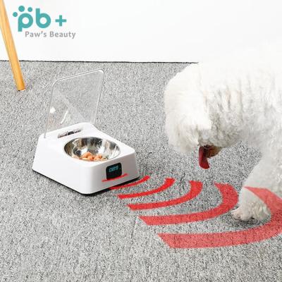 China High end custom wifi remote control automatic smart timer dispenser small pet dog cat stocked water food feeder for sale