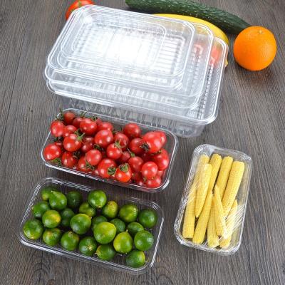 China Custom Clear Food Plastic Blister Tray Supermarket Fruit Vegetable Packing Disposable Food Packaging Fresh Egg Tray for sale