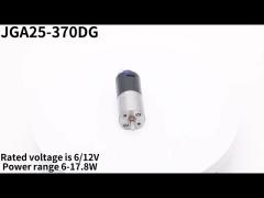 25mm DC Gear Motor