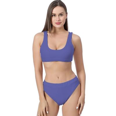 China Plus Size Manufacture No Logo Shorts Swimsuits With Private Plain Wholesale Custom Women Bikini Tops Purple LOGO for sale