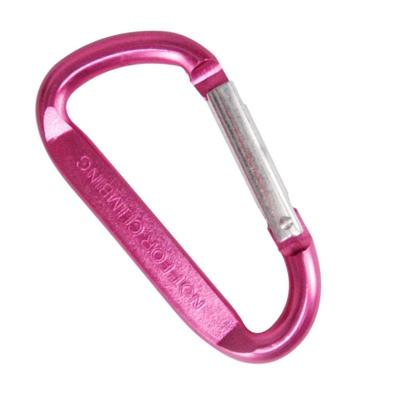 China HXY 79.2*42.1MM Portable Custom Large Currents No MOQ Big D Shape Flat Aluminum Carabiner Hook For Camping,Holding,Key Chain,Promotion for sale