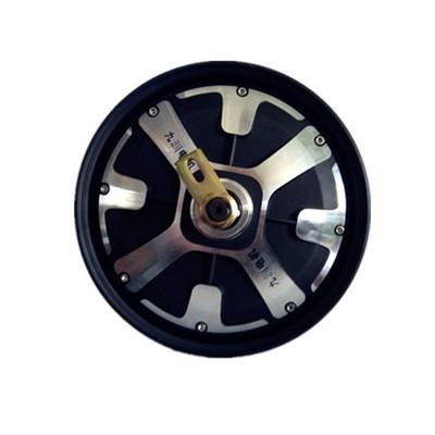 China DM-210 Iron Scooter Gearless Hub Brushless Motor for sale