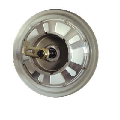 China New DM-205 48v 1000w Iron Drum Brake Continent Hub Motor for sale