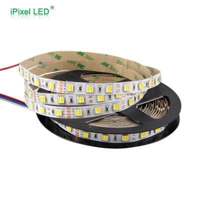 China LANDSCAPE 2 Color In 1 LED Chip Dual Color 5050 Strip Light for sale