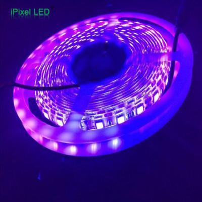 China LANDSCAPE Purple 435nm Ultraviolet UV Led Stripes UV 5050 Smd Led Tape Strips for sale