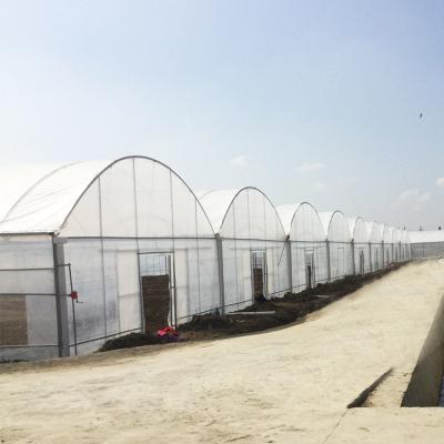 China Easily Assembled Poly Farm Plastic Sheet Multispan Green House Agricultural Plastic Greenhouse Used Tomato Hydroponic Growing System for sale