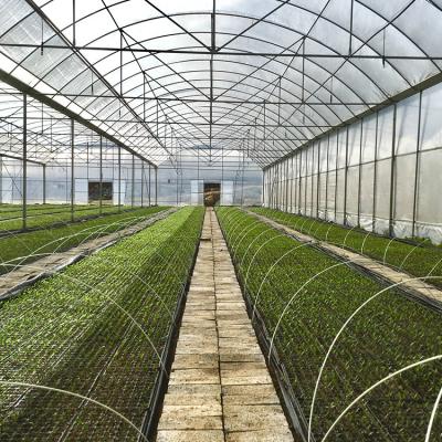 China Multispan Agricultural Greenhouse Customized Size Greenhouse Easily Assembled Vegetable Greenhouse for sale