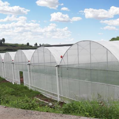 China Easily Assembled Agriculture Multispan Greenhouse With Hydroponic Growing System Plastic Sheet Commercial Greenhouse For Cultivation for sale