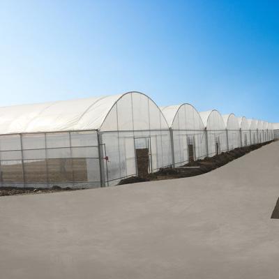 China Custom Size Easily Assembled Polycarbonate Sheet Multi-span Automatic Greenhouse For Planting for sale