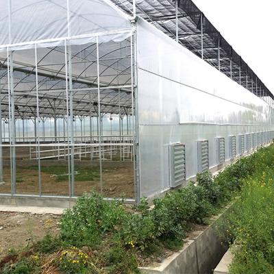 China Customized Easily Assembled Agricultural Multispan Green House Excellent Height Strength Muti-span Plastic Greenhouse for sale