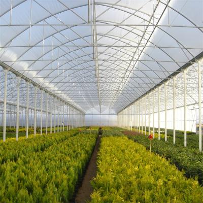 China Green House Easily Assembled Plastic Agricultural Commercial Greenhouse Tunnel Film Grow Equipment Multispan Greenhouse For Sale for sale