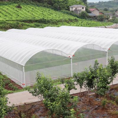 China Easily Assembled Outdoor Metal Green House Frame Growing Agriculture Commercial Plastic Green House For Tomato Planting for sale