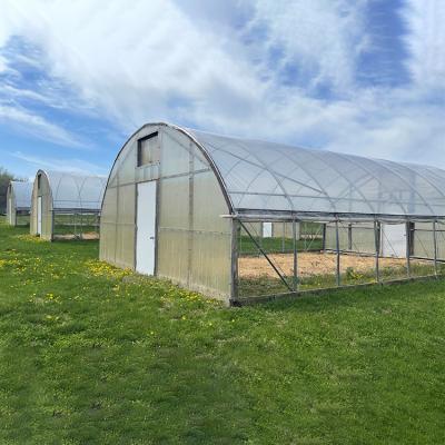 China Herbs Plastic Sheet Greenhouse With Hydroponics System For Strawberry And Tomato Outdoor Planting for sale