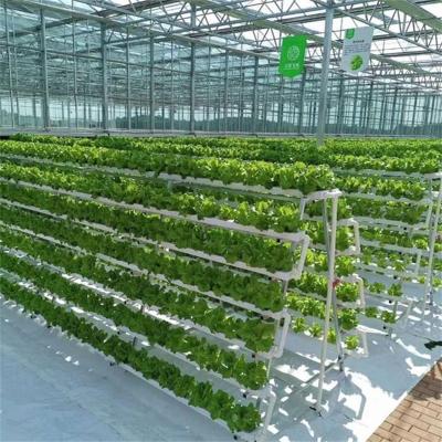 China Agriculture Planting Glass Growing Commercial Greenhouse Multi-span PC Sheet Greenhouses for sale