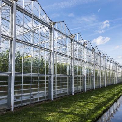 China Agriculture Planting Glass Growing Commercial Greenhouse Multi-span Greenhouses Supply Overall Green House System for sale