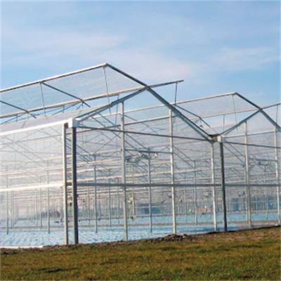 China Agriculture Planting Glass Greenhouse Hydroponic Greenhouse For Indoor Plant for sale