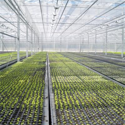 China Agriculture Planting Wholesale Price Automatic Control Custom Intelligent Vertical Growing Greenhouse Equipment Tempered Glass Glass Green House for sale