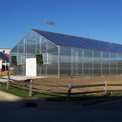 China Easily Assembled Single Span Tomato Lettuce Plant Polycarbonate Sheet Greenhouse With Hydroponic Growing System For Sale for sale