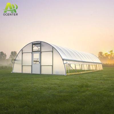 China Easily Assembled Plastic Sheet Greenhouse Metal Frame Tunnel Green House Frame For Outdoor Vegetable And Fruit Planting for sale