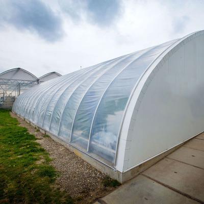 China Stable Structure Easily Assembled Passive Solar Plastic Film Greenhouse Manufacturing Tunnel Green House Agricultural Greenhouses For Tomato Planting for sale