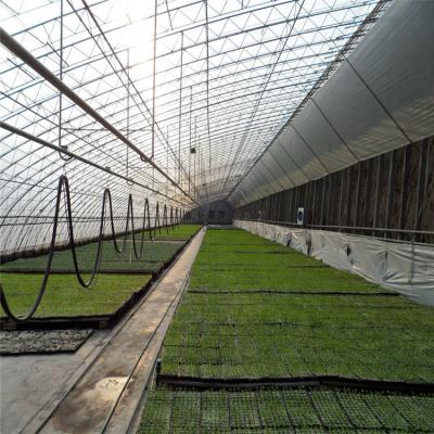 China Stable Structure Easily Assembled Passive Green House Plastic Film In-Solar Tunnel Greenhouse Agricultural Commercial With Comforter For Cold Area for sale