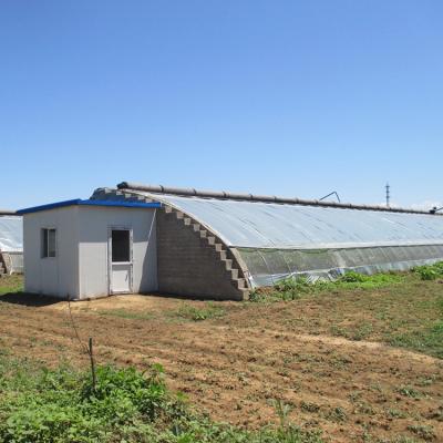 China Stable Structure Easily Assembled Green House Steel Frame Caterpillar Tunnel Growing Aeroponic Solar Passive Greenhouse for sale