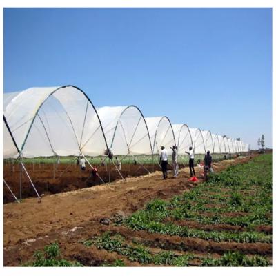 China Easily Assembled Agricultural Rain Shelter Greenhouse Polytunnel Bay Green House Plastic Sheet Rain Cover Tunnel for sale