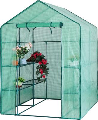 China Portable Outdoor Flower Plant Flower Greenhouse Mini Garden Greenhouse Home Hobby House Hot House Plant Shed for sale