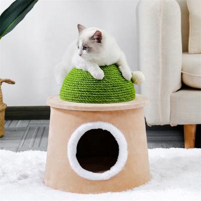 China Stocked Cactus Cat Tree Condo Cat Tree Scratcher Cat Interactive Toys Parrel Ball for sale