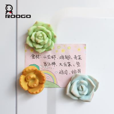 China Home Decoration Roogo Resin Succulents Plant Flowers Fridge Magnet 3D Sticker for sale