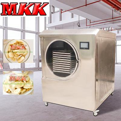 China food & Hot Beverage Factory Sale Snake Venom Vacuum Freeze Dryer Vacuum Freeze Dryer Machine for sale