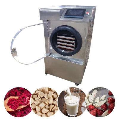 China food & High Quality Beverage Plant Freeze Drying Machine For Food Maker Freeze Dryer 10Kg Mini Vacuum Liofilizador for sale