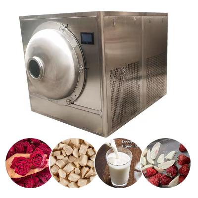 China food & Mini Vacuum Freeze Dryer Machine Beverage Factory Meat Fruit Vegetables Freeze Dryer Food Freeze Dryer Machine Small for sale