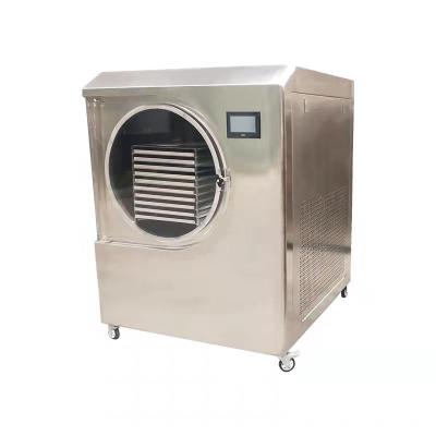 China food & Beverage factory food freeze dryer freeze dryer berry meat industrial freeze dryer for sale for sale