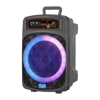 China Hot sell 8 inch outdoor portable Trolley speaker with LED ball light and wired MIC Tripod for sale