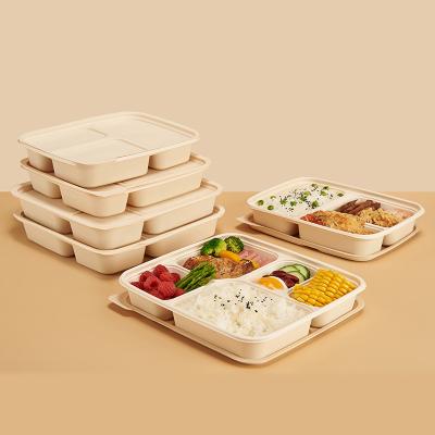 China Bento Take Out Box Food Disposable Containers Microwavable Cornstarch Container Food Bowl Packing Box 4 Compartments Biodegradable for sale