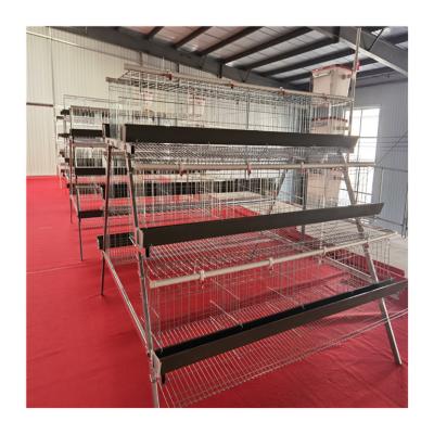 China Poultry Field Poultry Farm Used A Ladder Type Laying Chicken Cages With Egg Collection System for sale