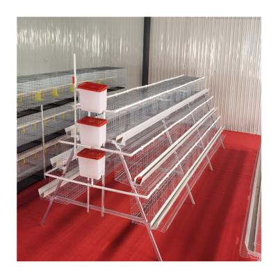 China Poultry Field Battery Chicken Cages Egg Layer Cages For Sale 96 Chickens Capacity Per Set for sale