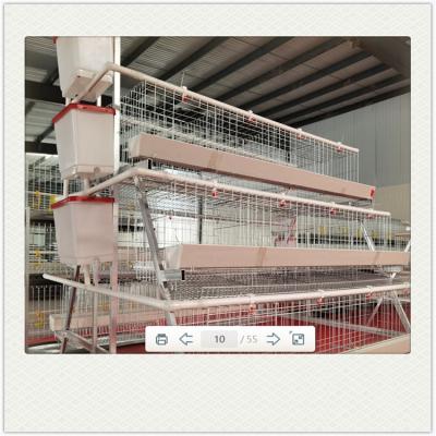 China Poultry Field Layers Poultry Farm Chicken Cages Layer Battery Cage For Chicken for sale