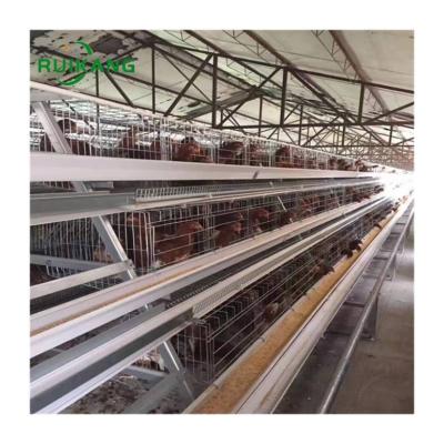 China Automatic Galvanized Poultry Field Design Poultry Farm Modern House Battery Chicken Cages For Sale for sale