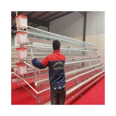 China Automatic Poultry Field A Type Battery Layer Poultry Farm Cage Systems With Automatic Automatic Feeding Machine for sale