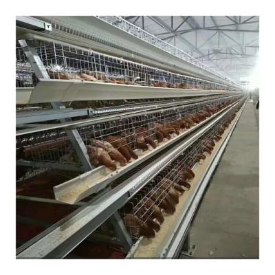 China Farms A Type Hot Dip Galvanized Layer Chicken Cages Animal Cages for sale