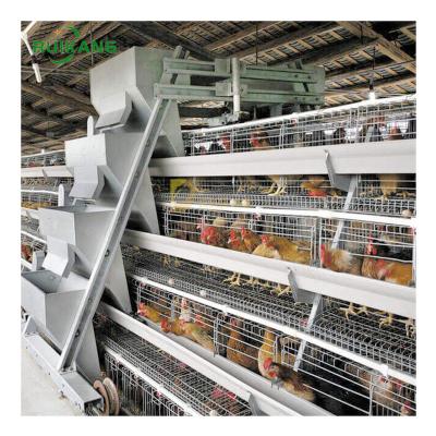 China Rescue Working Automatic Poultry Cage System Battery Egg Layer Chicken Cages For Poultry Chicken Layer for sale