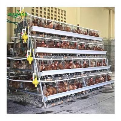 China Poultry field large A type automatic cheap layer chicken cage for layer battery cages system for sale