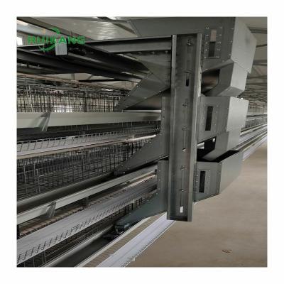 China Save Labor Egg Farms Battery Layer Chicken Modern Design H Type Automatic Cages for sale