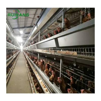 China H Type Automatic Layer Chicken Cage Battery Cage Poultry Field System Laying Egg Hen Cages For Poultry Farm for sale