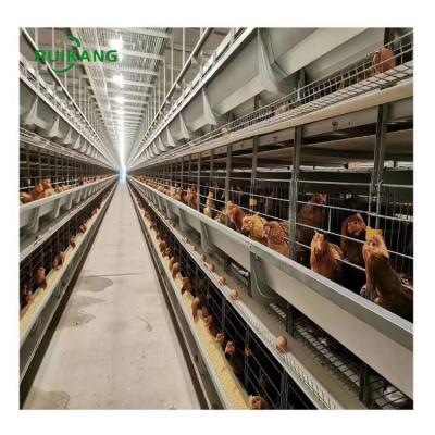 China Automatic Poultry Field Chicken Layer Cages Layer Layer Chicken Feeding System H Type Cage for sale