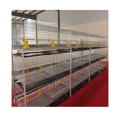 China Animal Poultry Field Cage H Type Automatic Chicken Breeding Cage Chicken Broiler Cages For Sale for sale