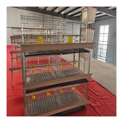 China H Type Automatic Chicken Breeding Cage Chicken Poultry Broiler Cages For Sale for sale